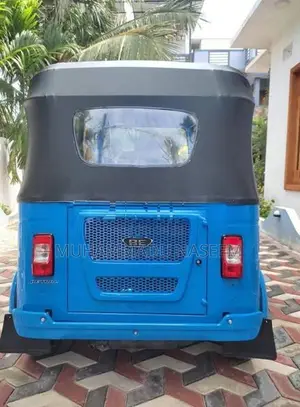 Bajaj RE 248 CC 2026