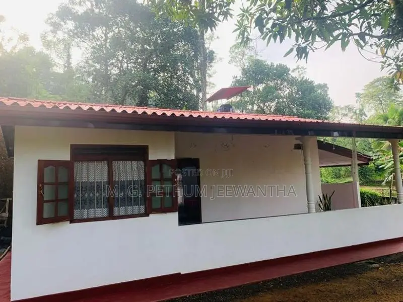 Prime Tea Land with Brand New House – Tawalama