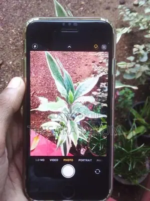Apple iPhone SE 2 (Used)