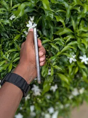 Apple iPhone XS (Used)