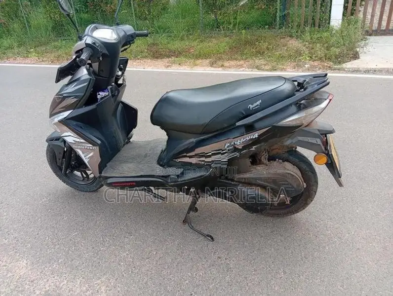 Ranomoto Pattaya BIZ. 5590 2019