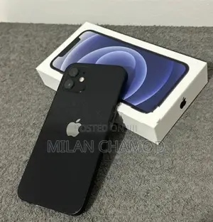 Apple iPhone 12 256GB (Used)