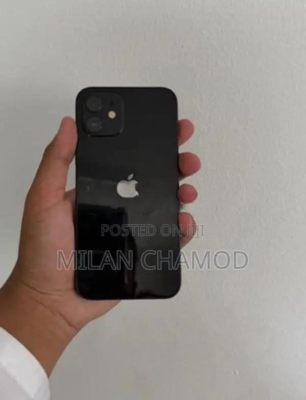 Apple iPhone 12 256GB (Used)