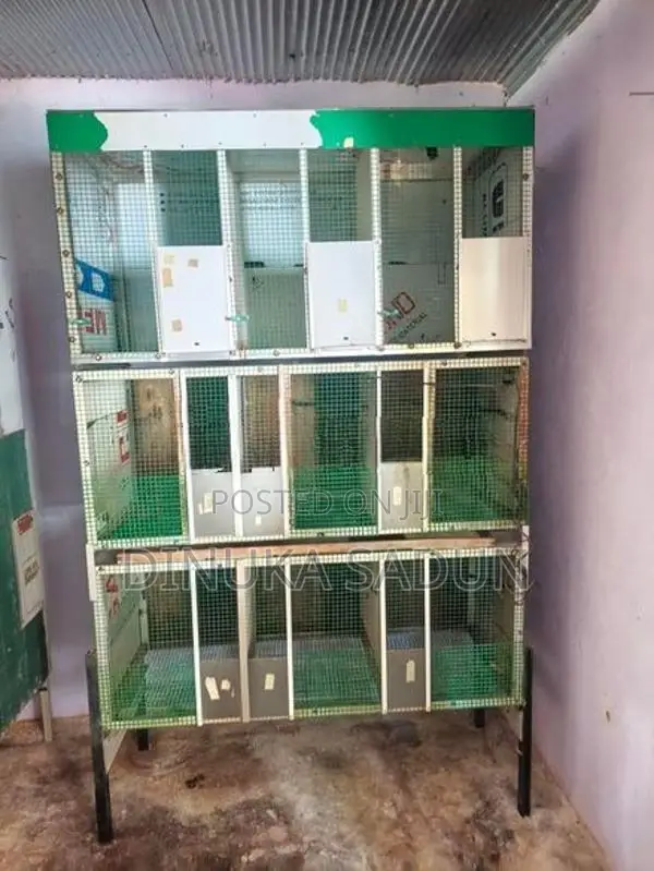 Finches Love Bird Breeding Cage