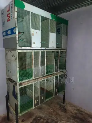 Finches Love Bird Breeding Cage