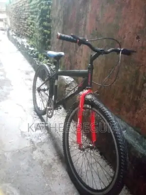 Lumala Bicycle