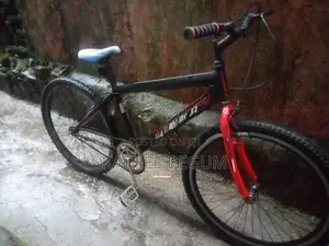 Lumala Bicycle