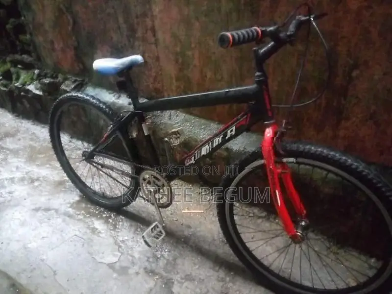 Lumala Bicycle