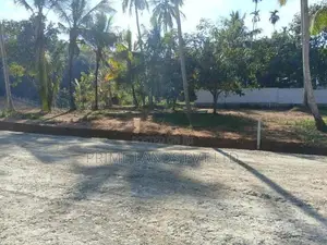 අලව්ව ටවුමට ලගින් බිම්කොටස් කිහිපය