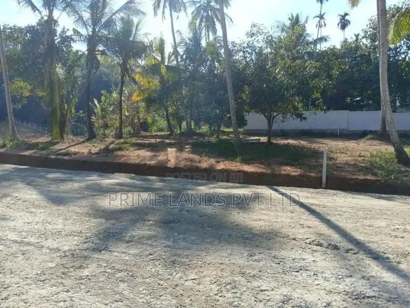 අලව්ව ටවුමට ලගින් බිම්කොටස් කිහිපය