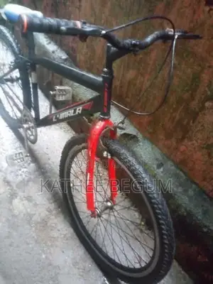 Lumala Bicycle