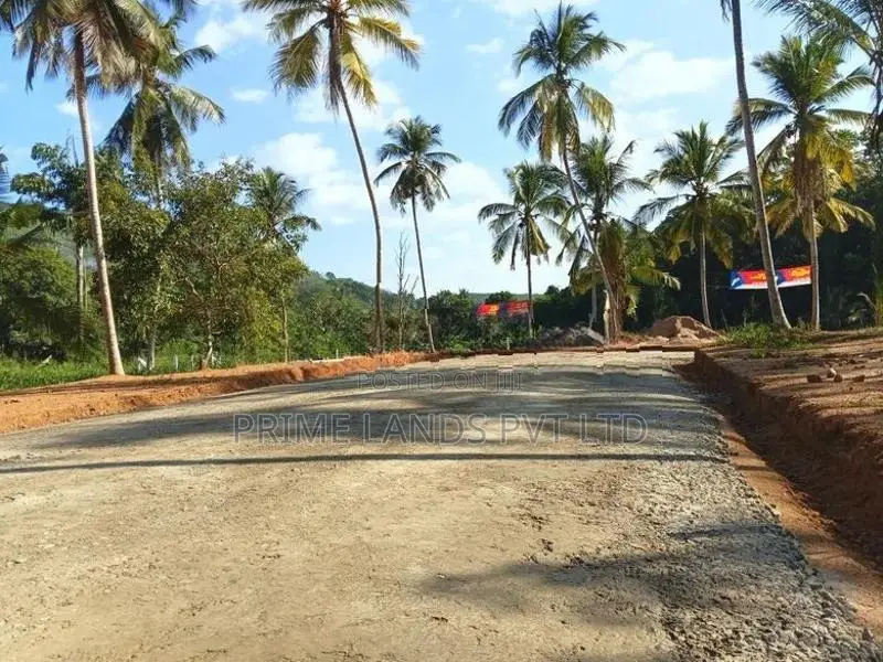 අලව්ව ටවුමට ලගින් බිම්කොටස් කිහිපය