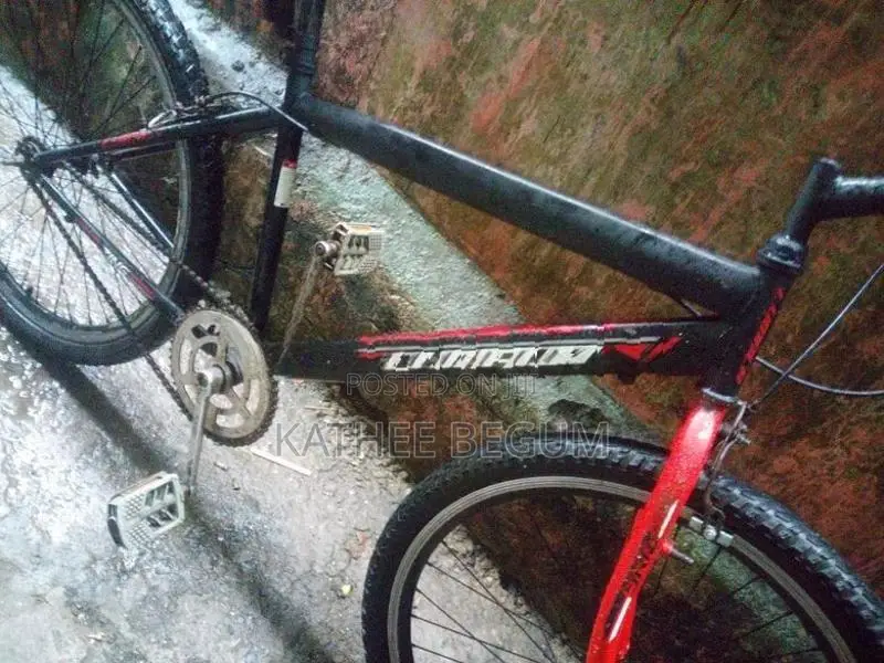Lumala Bicycle