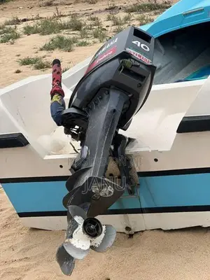Fish Boat