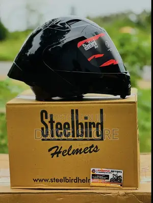 Steel Brid Helmet