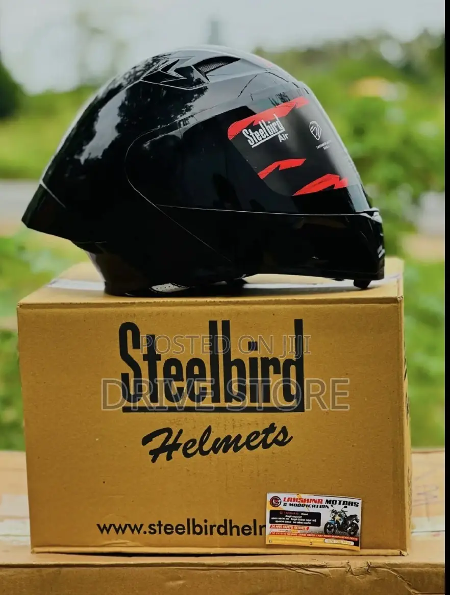 Steel Brid Helmet