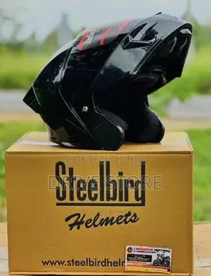 Steel Brid Helmet