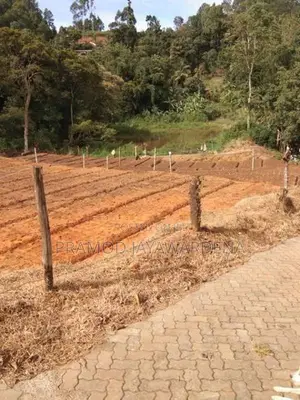 99 ප්‍රධාන පාරට නුදුරින් ඉඩමක් විකිනීමට. Diyathalawa