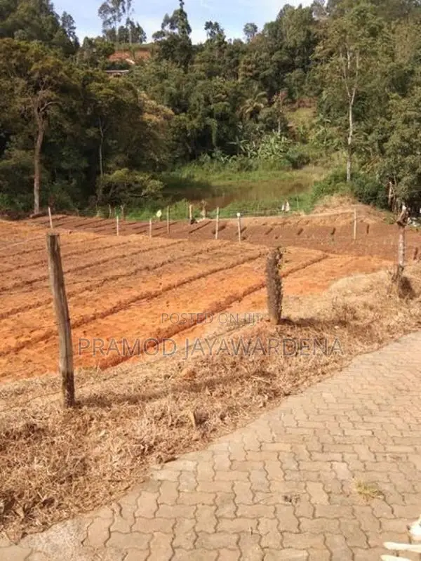 99 ප්‍රධාන පාරට නුදුරින් ඉඩමක් විකිනීමට. Diyathalawa
