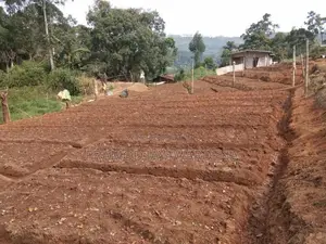 99 ප්‍රධාන පාරට නුදුරින් ඉඩමක් විකිනීමට. Diyathalawa