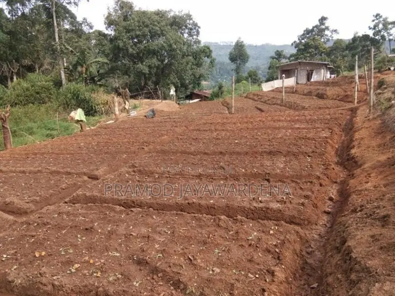 99 ප්‍රධාන පාරට නුදුරින් ඉඩමක් විකිනීමට. Diyathalawa