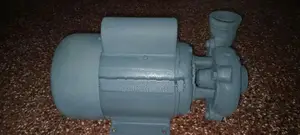 Water motor