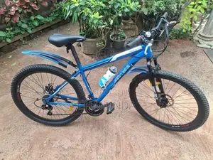 DSI Viper 101 Bicycle
