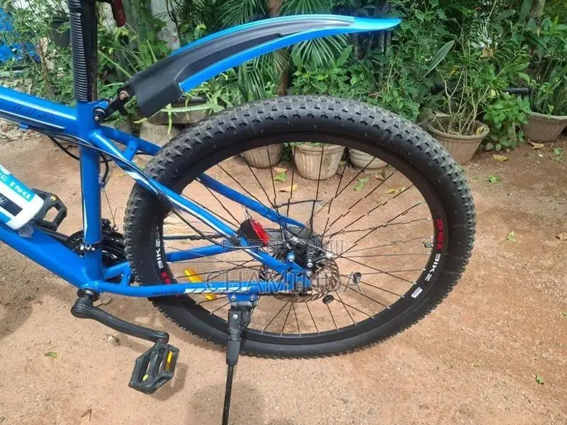 DSI Viper 101 Bicycle