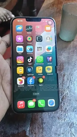 Apple iPhone 13 Pro Max (Used)
