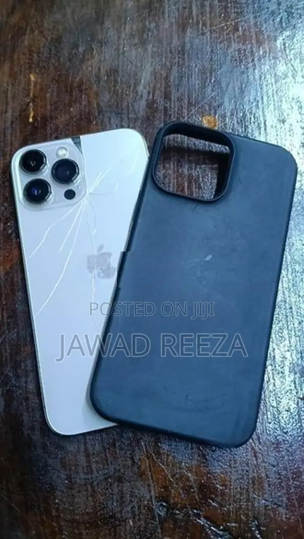 Apple iPhone 13 Pro Max (Used)
