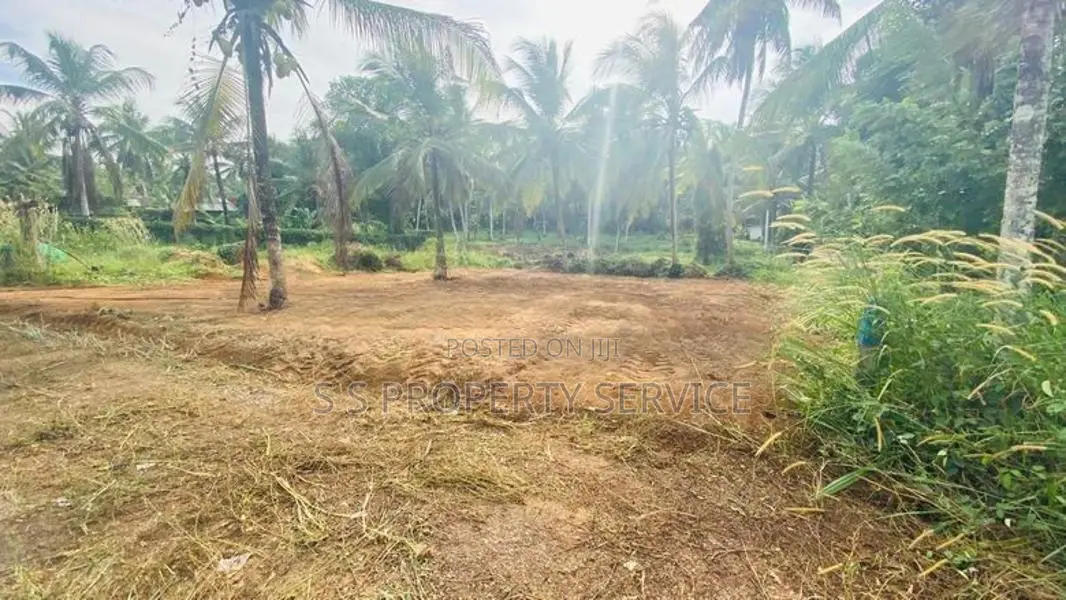 Kirindiwela Land for Sale (SSPL-359)