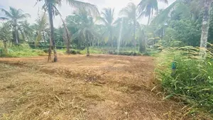 Kirindiwela Land for Sale (SSPL-359)