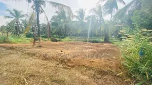 Kirindiwela Land for Sale (SSPL-359)