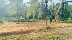Kirindiwela Land for Sale (SSPL-359)