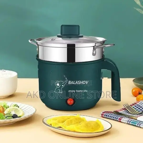 Electric Cooker with Steam