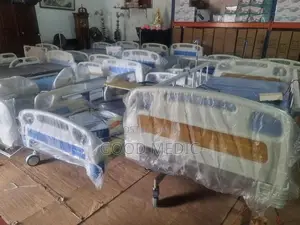 Patient four Function Electric Hospital Bed