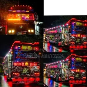 Ashok Leyland Viking 2010