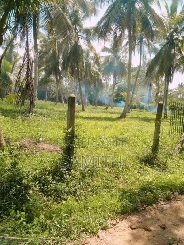160 Perch Land with 45 Coconut Trees - Wariyapola,Bamunakotuwa