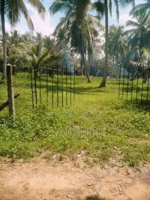 160 Perch Land with 45 Coconut Trees - Wariyapola,Bamunakotuwa