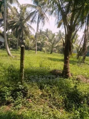 160 Perch Land with 45 Coconut Trees - Wariyapola,Bamunakotuwa