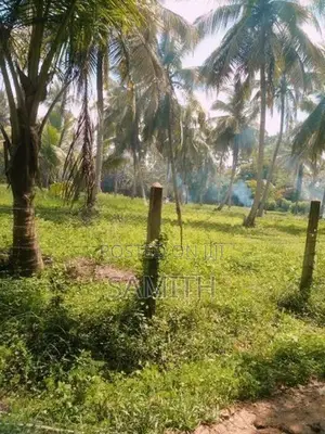 160 Perch Land with 45 Coconut Trees - Wariyapola,Bamunakotuwa