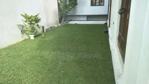 New Malaysian Grass Carpet