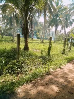 160 Perch Land with 45 Coconut Trees - Wariyapola,Bamunakotuwa