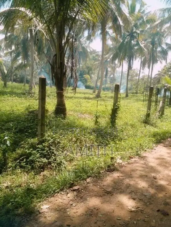 160 Perch Land with 45 Coconut Trees - Wariyapola,Bamunakotuwa