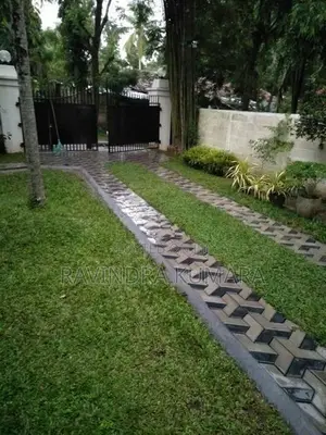 New Malaysian Grass Carpet