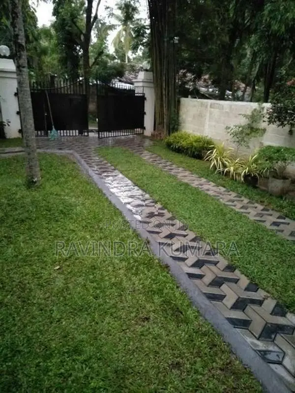New Malaysian Grass Carpet