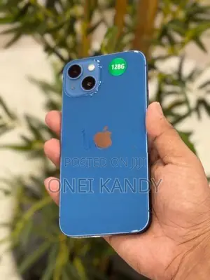 Apple iPhone 13 128GB (Used)