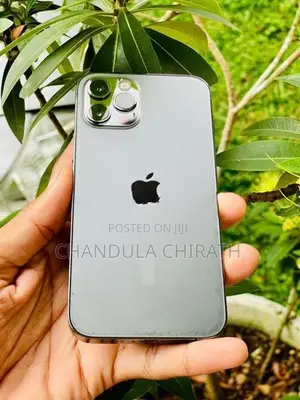 Apple iPhone 12 Pro 256GB (Used)