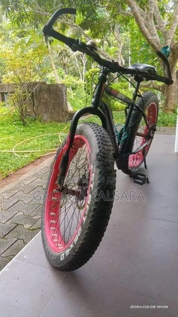 Bicycle
