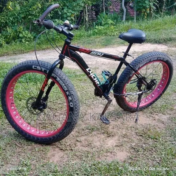 Bicycle
